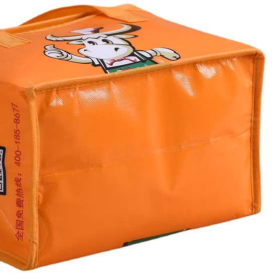 Изолированная рекламная сумка-холодильник из полиэстера со спортивной молнией на 24 банки.